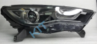���� ��������� ����� ������