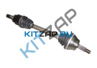 ������ ���� �������� �����